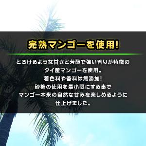 ドライマンゴー スライス プレミアム 着色料 ...の詳細画像3