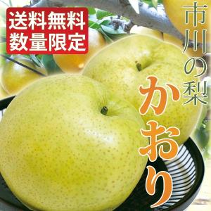 9月上旬出荷開始】かおり 梨 6〜7個入り 大玉 千葉県市川産市川