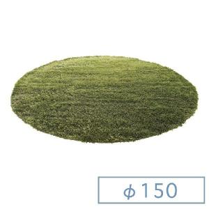 グラスラグ 140 200 GRASS RUG ラグマット 絨毯 芝生 芝 シャギーラグ