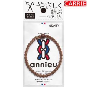 サインティ ヘアゴム　ディープブラウン　追跡可能メール便　｜　ヘアゴム【RB】｜antec35