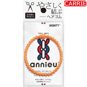 サインティ ヘアゴム　オレンジ　追跡可能メール便　｜　ヘアゴム【RB】｜antec35