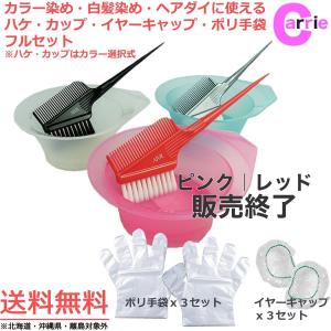 ヘアダイブラシとカップのセット】SANBI ヘアダイブラシ K-60 ＆ TBG