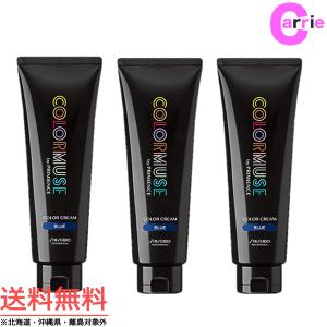 資生堂　プリミエンスカラー　66本 PME エンリッチ クリア N 80g 資生堂 ヘアカラーの通販・卸