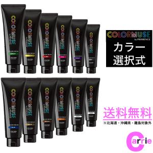 SHISEIDO 資生堂 カラーミューズ バイ プリミエンス カラー