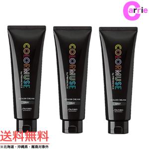 SHISEIDO PROFESSIONAL（資生堂プロフェッショナル） 資生堂 カラー