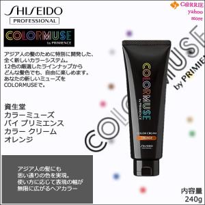 SHISEIDO PROFESSIONAL 2本セット 資生堂 カラーミューズ バイ SHISEIDO PROFESSIONAL 2本セット 資生堂 カラーミューズ バイ