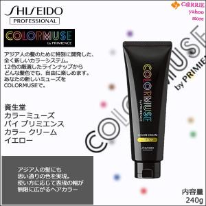 SHISEIDO PROFESSIONAL 資生堂 カラーミューズ バイ プリミエンス