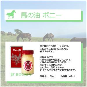 馬の油 ポニー 65ml Houren ホウリン 馬油 最安値 価格比較 Yahoo ショッピング 口コミ 評判からも探せる