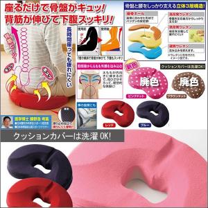 勝野式 座るだけで 骨盤 キュッと クッション...の詳細画像2