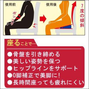 勝野式 座るだけで 骨盤 キュッと クッション...の詳細画像3