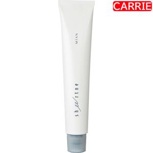 SHISEIDO PROFESSIONAL（資生堂プロフェッショナル） 資生堂 カラー