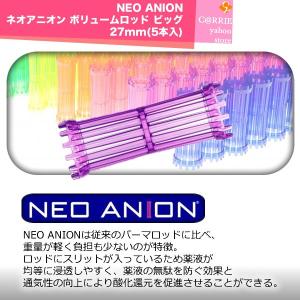 NEO ANION ネオアニオン ボリュームロッド ビッグ 27mm(5本入)｜antec35