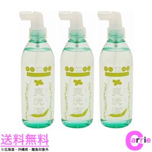 3本セット 爽洗潔 マッサージローション 250mL 送料無料｜そうせん