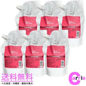 サラメンテ エテルノシャンプー 1000ml リフィル ボリュームシャンプー