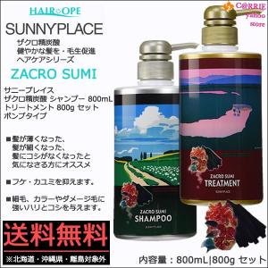 送料無料 ｜ サニープレイス ザクロ精炭酸 シャンプー 800mL トリートメント 800g セット ポンプタイプ ｜シャンプー ノンシリコン 炭酸｜CARRIE Yahoo!店