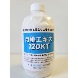 LURIBIO（ルリビオ） グレイスリペア 52g×2個セット GRACE REPAIR 30
