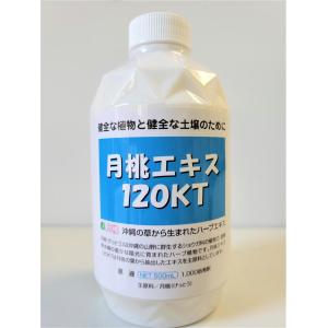 日本月桃 月桃エキス 120KT 500ml  植物性 ハーブエキス 天然成分 バラ 薔薇