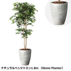 光の楽園 パームツリー 1.3m（ポリ製） 2238A200 光触媒 人工観葉植物