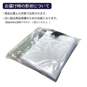 即納 伊高 IKO 透明バッグ CB-4040...の詳細画像3