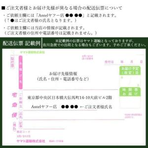 即納 へぎそば 小嶋屋総本店 布乃利へぎそば ...の詳細画像3