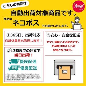 即納 馬油さくら コンディショナー 詰め替え用...の詳細画像2