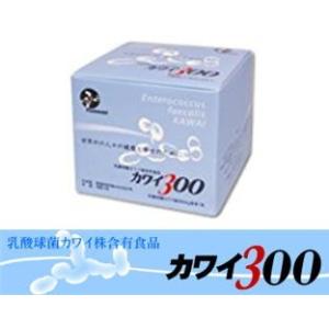 【4箱】11-1（いちいちのいち）60g（2g×30包） 11-1（ いちいちのいち ） 60g （ 2g × 30包 殺菌乳酸菌及びグァーガム