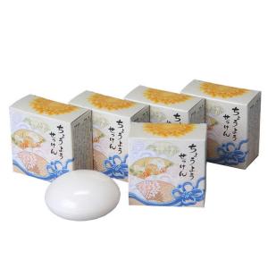 ちょうようせっけん 5個セット ( 石鹸 ちょうよう QVC リピジュア