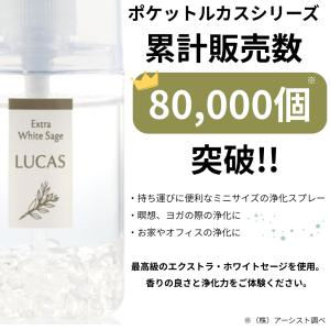 即納 ホワイトセージ 浄化 LUCAS ポケッ...の詳細画像1