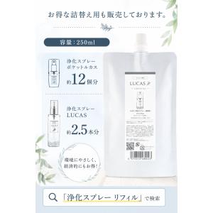 即納 ホワイトセージ 浄化 LUCAS ポケッ...の詳細画像4