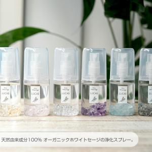 即納 ホワイトセージ 浄化 LUCAS ポケッ...の詳細画像5