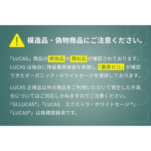 即納 ホワイトセージ 浄化 LUCAS ポケッ...の詳細画像3