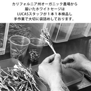 即納 ホワイトセージ お香 LUCAS 浄化 ...の詳細画像5