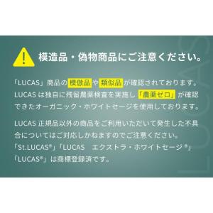 LUCAS ホワイトセージ 浄化ディフューザー...の詳細画像2