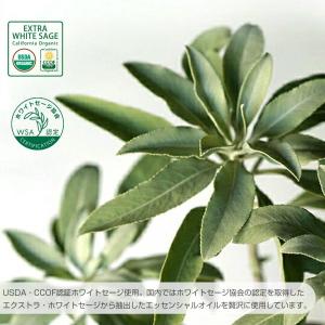 LUCAS ホワイトセージ 浄化ディフューザー...の詳細画像3