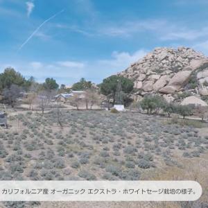 LUCAS ホワイトセージ 浄化ディフューザー...の詳細画像4