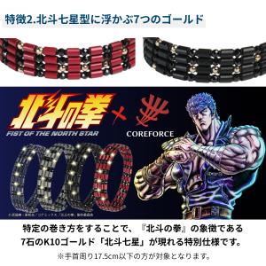 即納 コアフォース×北斗の拳 初回限定パッケー...の詳細画像5