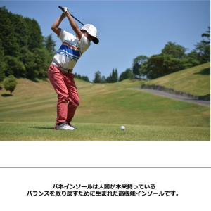 即納 バネ インソールゴルフ Ba2ne IN...の詳細画像2
