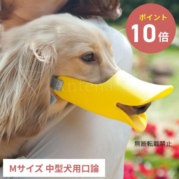 全3色OPPO クァック Mサイズ 拾い食い 無駄吠え 噛み デザイン雑貨 噛み癖 噛みつき防止 防...