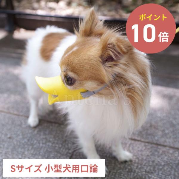 全3色OPPO クァック Sサイズ 拾い食い 無駄吠え 噛み デザイン雑貨 噛み癖 噛みつき防止 防...