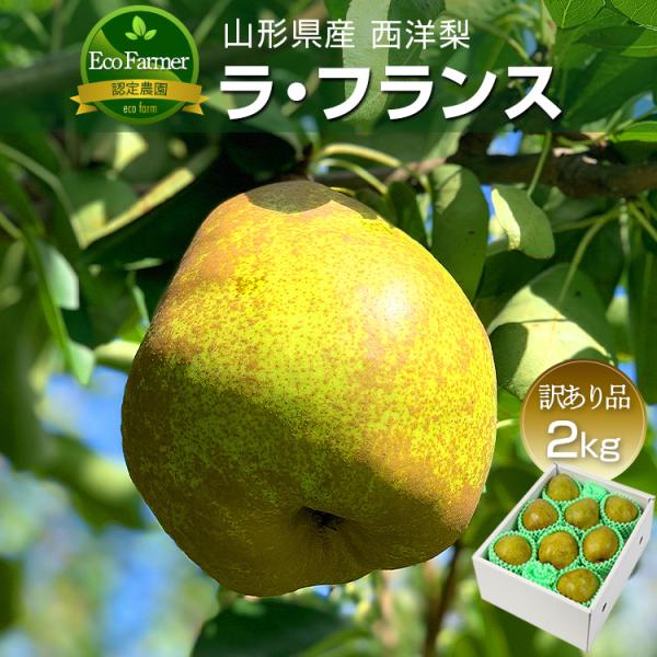 洋梨 ラフランス 果物 農園直送 訳あり品 2kg 山形県 産地直送 西洋梨 ラ・フランス ギフト ...
