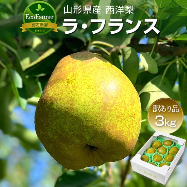 洋梨 ラフランス 果物 農園 訳あり品 3kg 山形県 産地直送 西洋梨 ラ・フランス ギフト プレ...