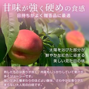 早割5%クーポン|8月15日まで 山形県産 品...の詳細画像3