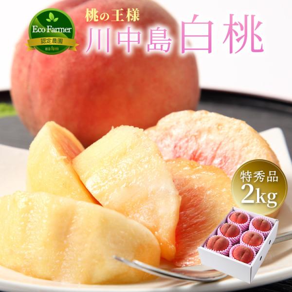 早割5％クーポン｜8月15日まで 山形県産 川中島 白桃 桃 2kg 5〜10個 特秀品 産地直送 ...