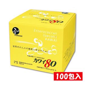 スーパーエリート乳酸菌 結 YK622（パウダータイプ）60包 YKワールドビジョン 結 YK622 スーパーエリート乳酸菌 60包