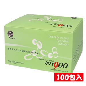 スーパーエリート乳酸菌 結 YK622（パウダータイプ）60包 スーパーエリート乳酸菌 結YK622/健康食品/パウダータイプ/お