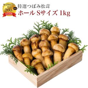 松茸 まつたけ 天然 冷凍 特選つぼみS ホール 1kg (約35-40本)