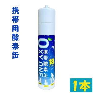 酸素缶 9.6L(容量) 酸素純度99.6%以上 酸素ボンベ 携帯酸素 : ホーム