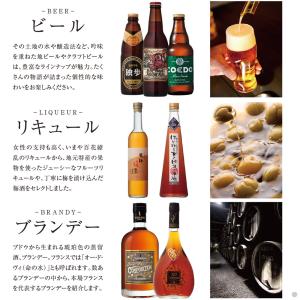 (GS06)銘酒グルメカタログギフト <GS0...の詳細画像3