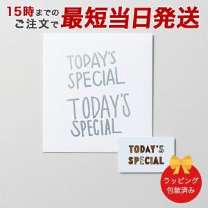(シルバー)TODAYS SPECIAL(トゥデ...の商品画像