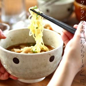 どんぶり 丼 飯碗 ラーメン ご飯茶碗 おしゃれ 食器 日本製｜antiqcafe